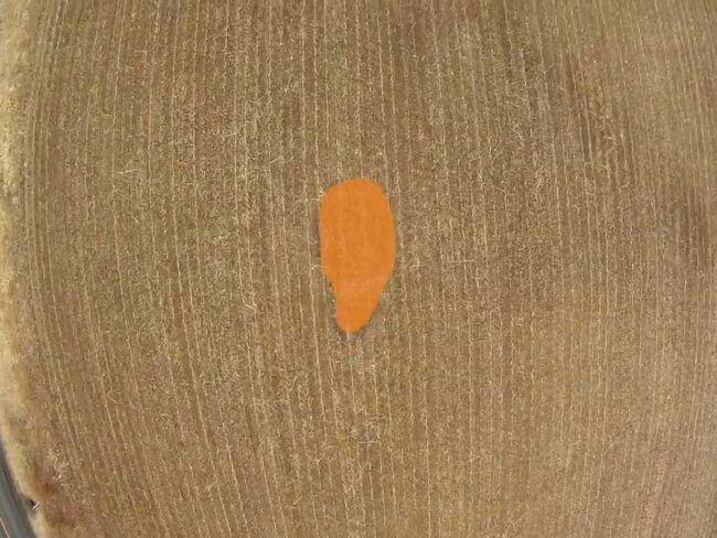 Aerial Methane Detection