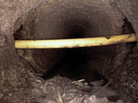 Cross Bore Inspection